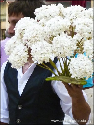 Biznaguero en Málaga