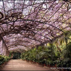 El Jardín de La Concepción. Un trozo del paraiso en el paraiso.