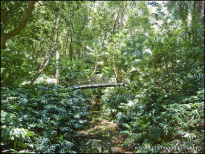 Jardín Histórico de La Concepción en Málaga