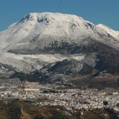 La Sierra de las Nieves. Reserva de la Biosfera